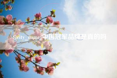 进贤中国冠军品牌是真的吗