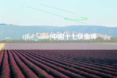 进贤中国十七块金牌