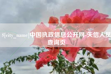 进贤中国执政信息公开网-失信人员查询页