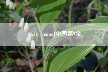 进贤中国第9金