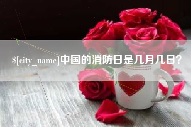 进贤中国的消防日是几月几日？