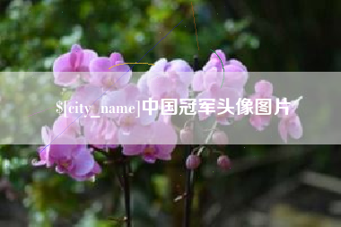 进贤中国冠军头像图片