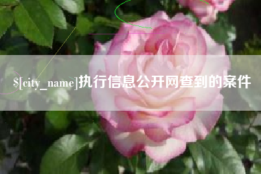 进贤执行信息公开网查到的案件