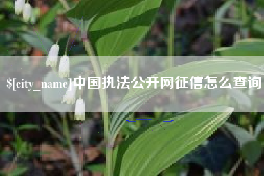 进贤中国执法公开网征信怎么查询