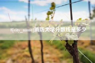 进贤消防大学分数线是多少