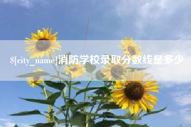 进贤消防学校录取分数线是多少