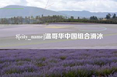 进贤温哥华中国组合滑冰