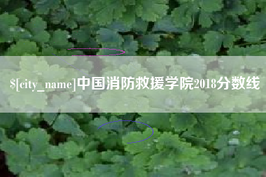 进贤中国消防救援学院2018分数线
