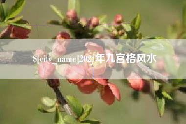 进贤2021年九宫格风水
