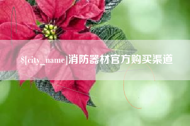 进贤消防器材官方购买渠道