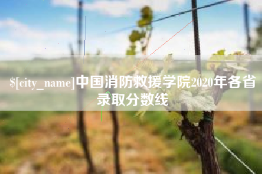 进贤中国消防救援学院2020年各省录取分数线