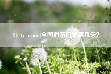 进贤全国消防日是第几天？