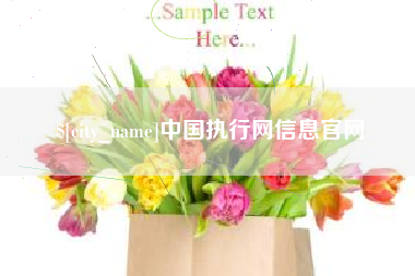 进贤中国执行网信息官网
