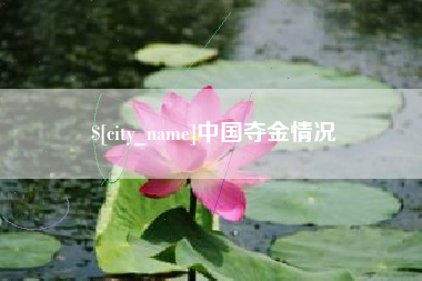 进贤中国夺金情况