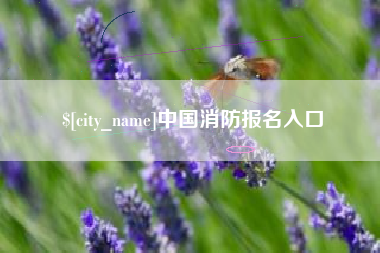 进贤中国消防报名入口