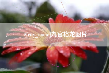 进贤九宫格龙图片