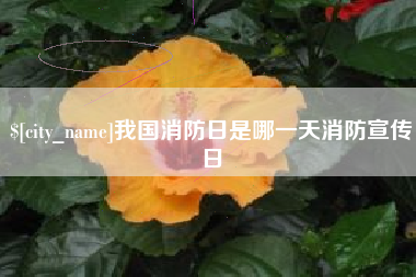 进贤我国消防日是哪一天消防宣传日