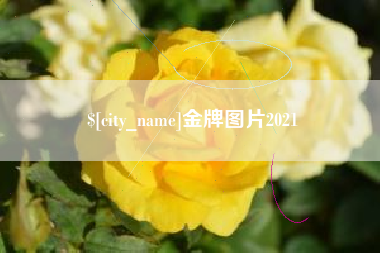 进贤金牌图片2021