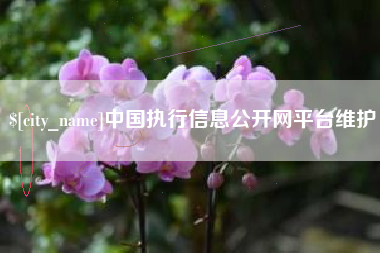 进贤中国执行信息公开网平台维护