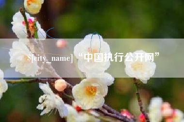 进贤“中国执行公开网”