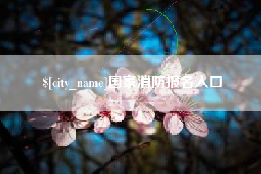 进贤国家消防报名入口