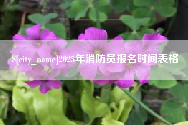 进贤2025年消防员报名时间表格