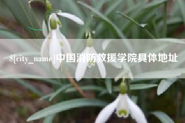 进贤中国消防救援学院具体地址