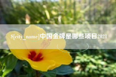 进贤中国金牌是哪些项目2021