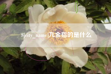 进贤九金指的是什么