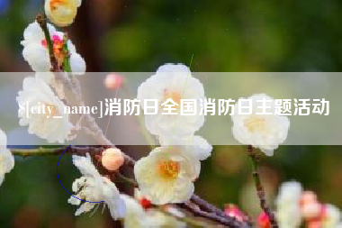 进贤消防日全国消防日主题活动