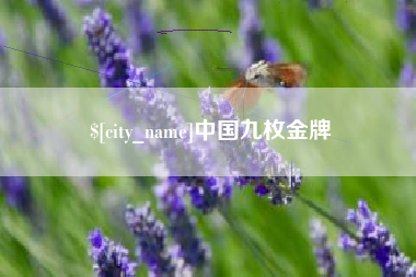 进贤中国九枚金牌