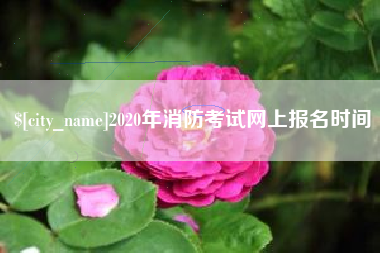 进贤2020年消防考试网上报名时间