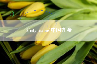 进贤中国九金