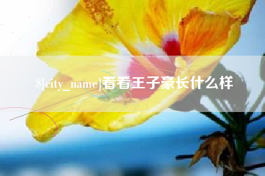 进贤看看王子豪长什么样