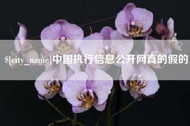 进贤中国执行信息公开网真的假的