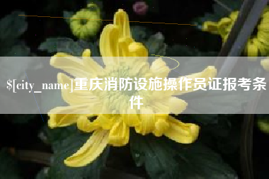 进贤重庆消防设施操作员证报考条件