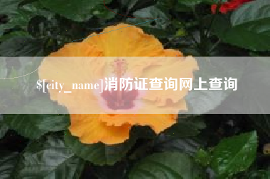 进贤消防证查询网上查询
