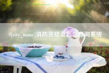 进贤消防资格证怎么查询系统