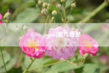 进贤第九金是