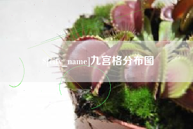 进贤九宫格分布图