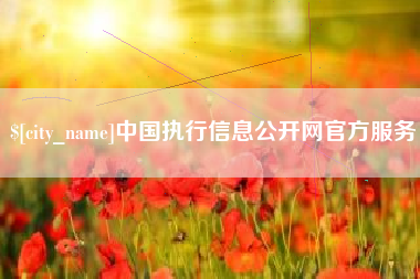 进贤中国执行信息公开网官方服务