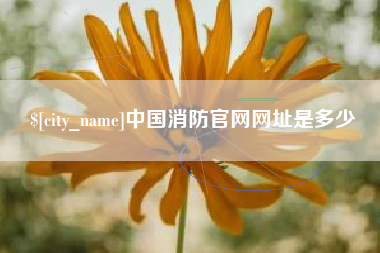 进贤中国消防官网网址是多少