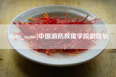 进贤中国消防救援学院副院长