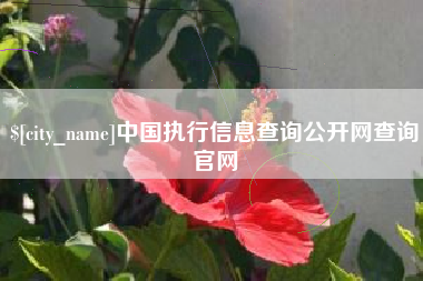 进贤中国执行信息查询公开网查询官网