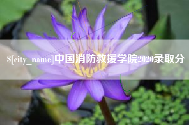进贤中国消防救援学院2020录取分