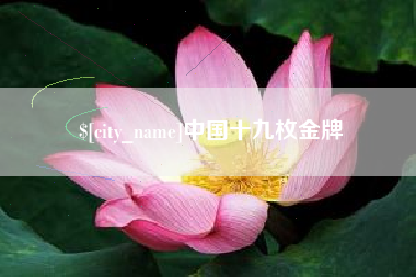 进贤中国十九枚金牌