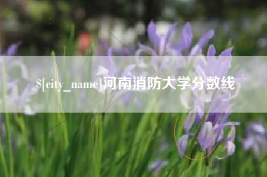 进贤河南消防大学分数线