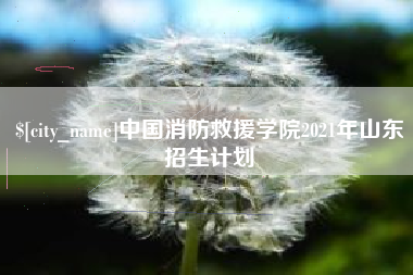 进贤中国消防救援学院2021年山东招生计划