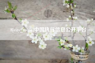 进贤中国执行信息公开平台