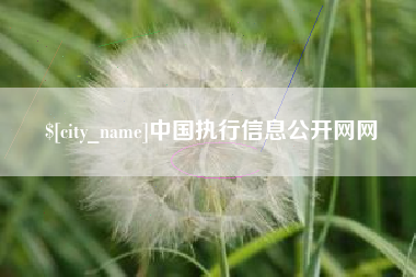 进贤中国执行信息公开网网
